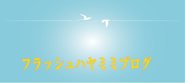 フラッシュ ハヤミミブログ