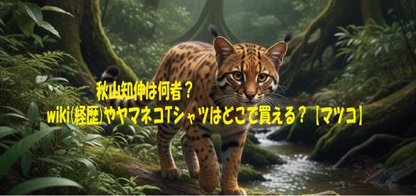 秋山知伸は何者？wiki(経歴)やヤマネコTシャツはどこで買える？【マツコ】